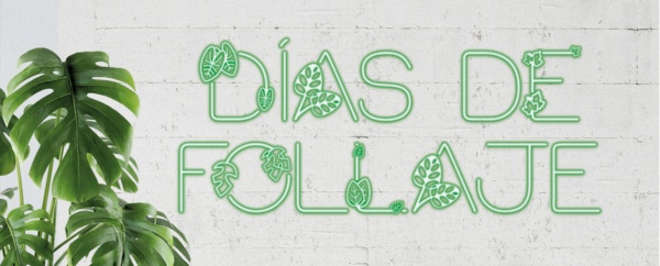 Typeface: Dias de Follaje